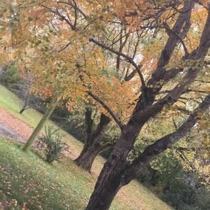 Meet your Posher, Qamar